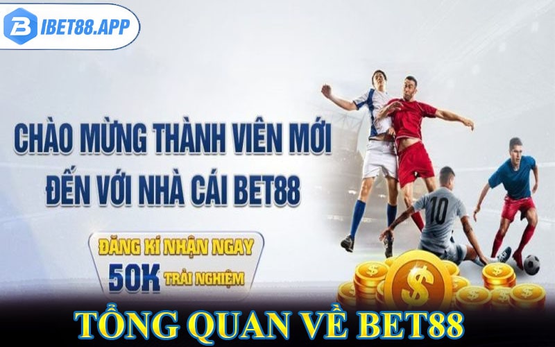 Tổng quan về nhà cái cá cược bet88