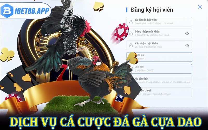 Dịch vụ cá cược đá gà cựa dao