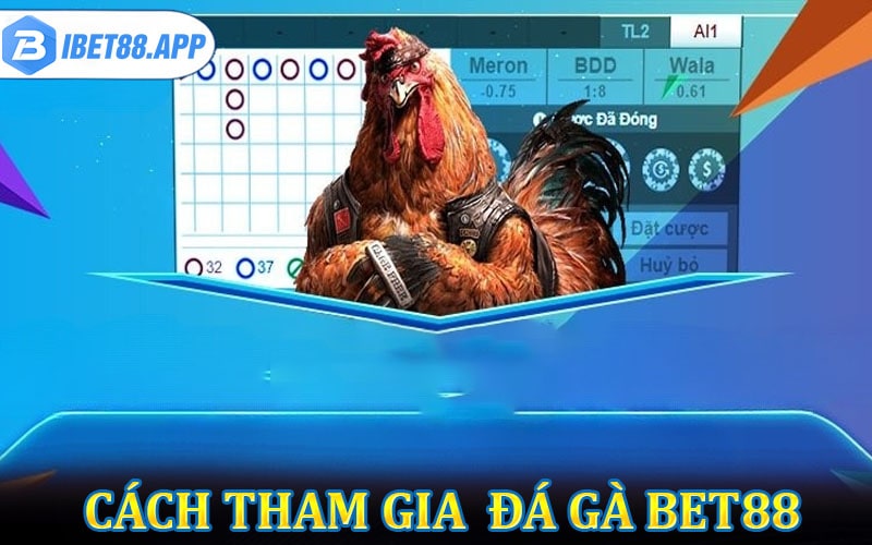 Hướng dẫn cách thức tham gia cá cược đá gà bet88
